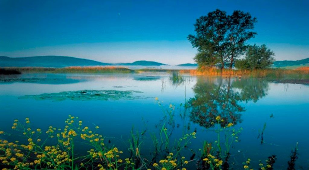 lago