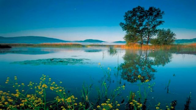 lago